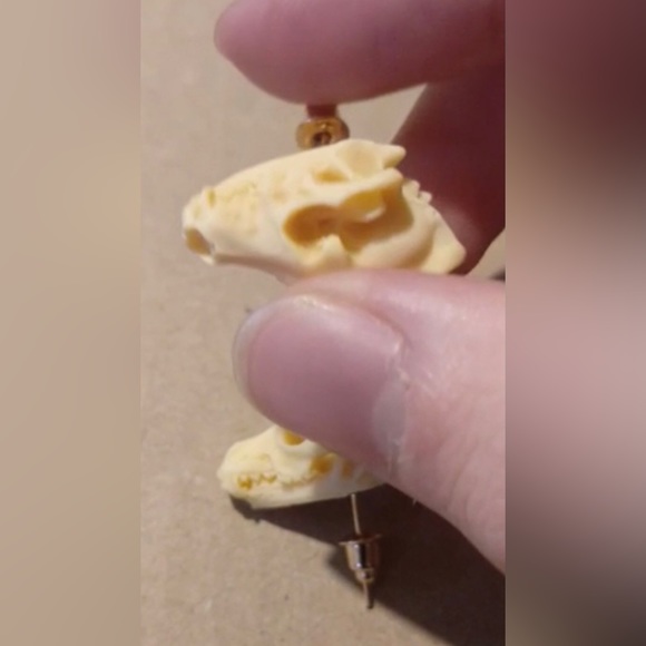 “Animal Skull” Dinosaur Sabertooth Wolf Dog Oddity Creepy Spooky Replica Studs - Picture 12 of 12